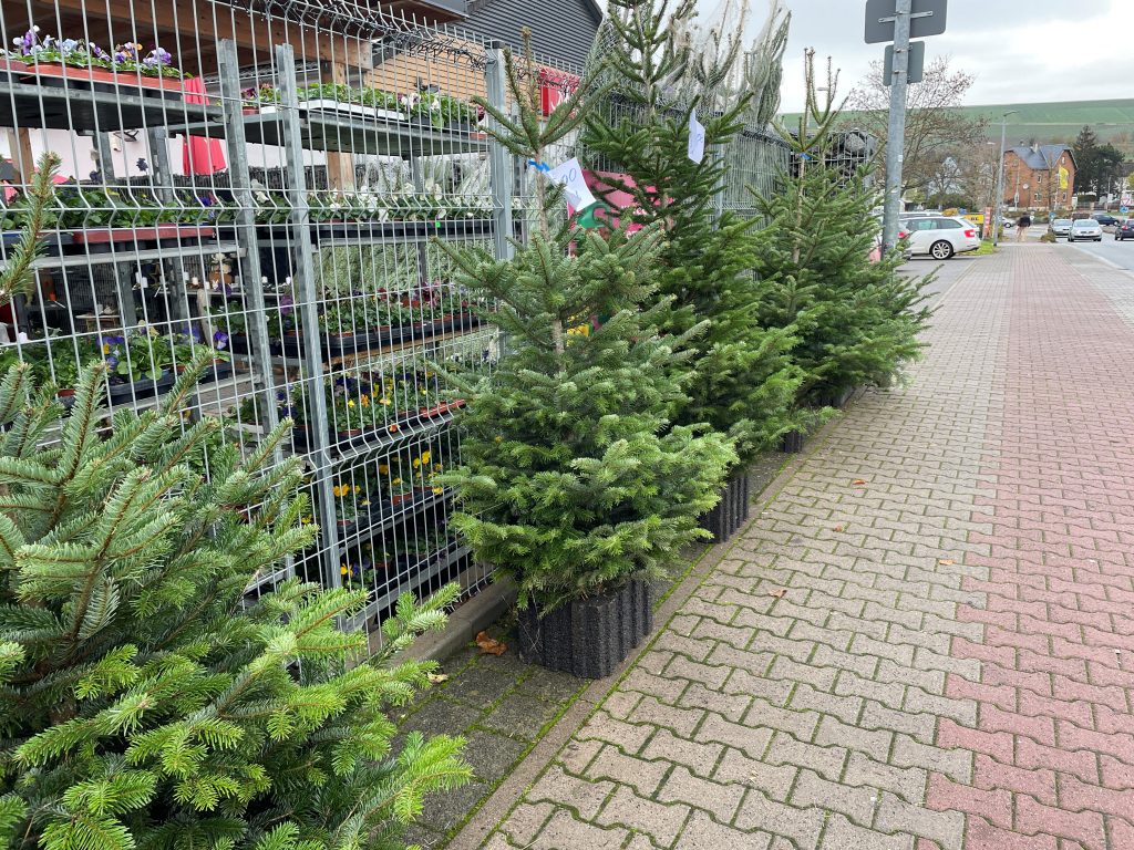 Spannende Höffner Weihnachtsbaumverkauf 2022 Fotos